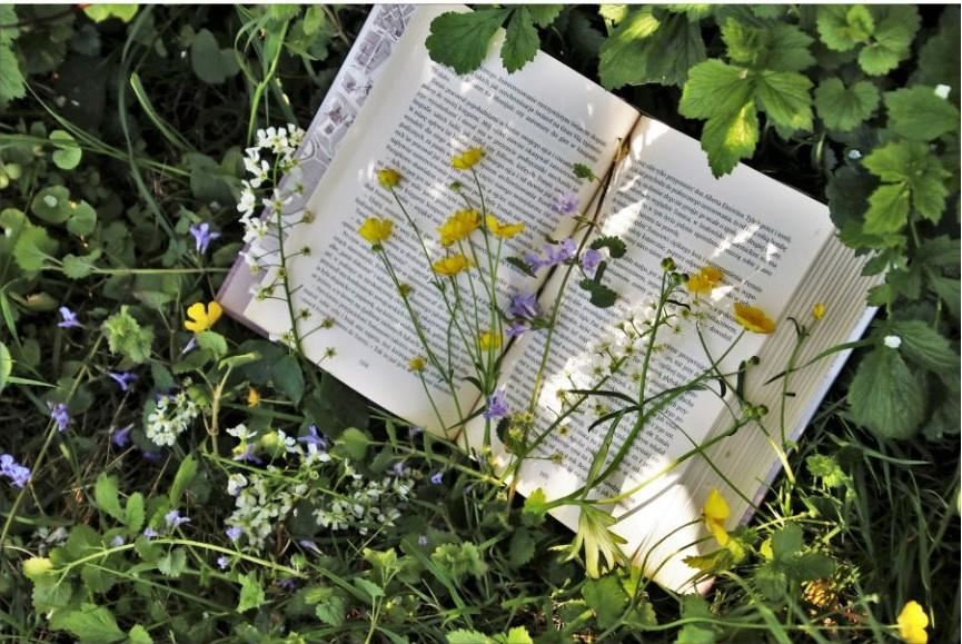 Nature and Books